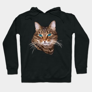 cat Hoodie